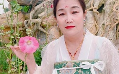 达子的春天演员表